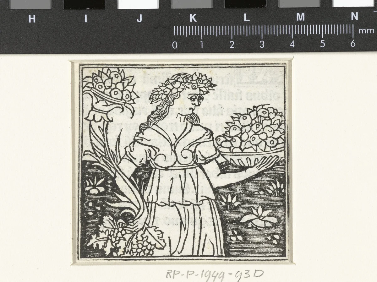 Vrouw met hoorn des overvloeds en schaal met vruchten by anonymous, print, 1480-1499