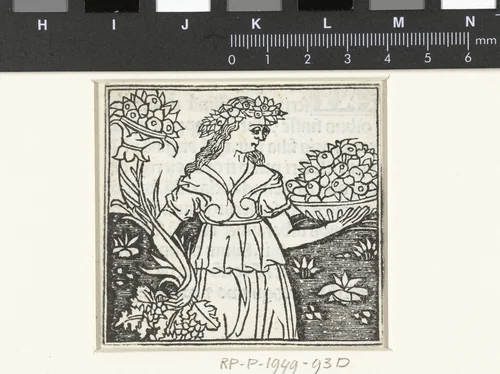 Vrouw met hoorn des overvloeds en schaal met vruchten by anonymous, print, 1480-1499