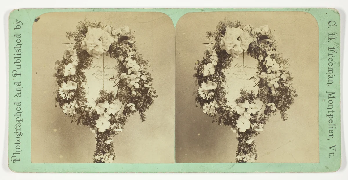 Untitled by C. H. Freeman, photograph, 1874