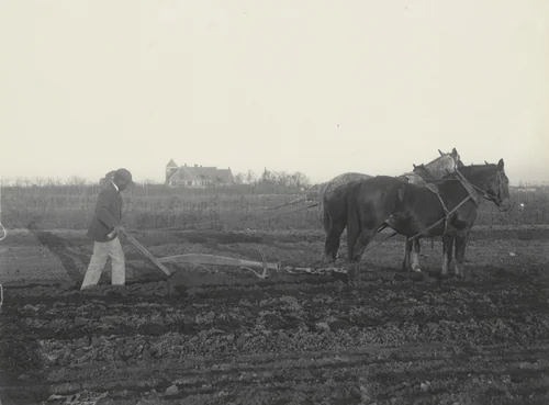 Plowing by the scientific method by Frances Benjamin Johnston, photograph, 1899