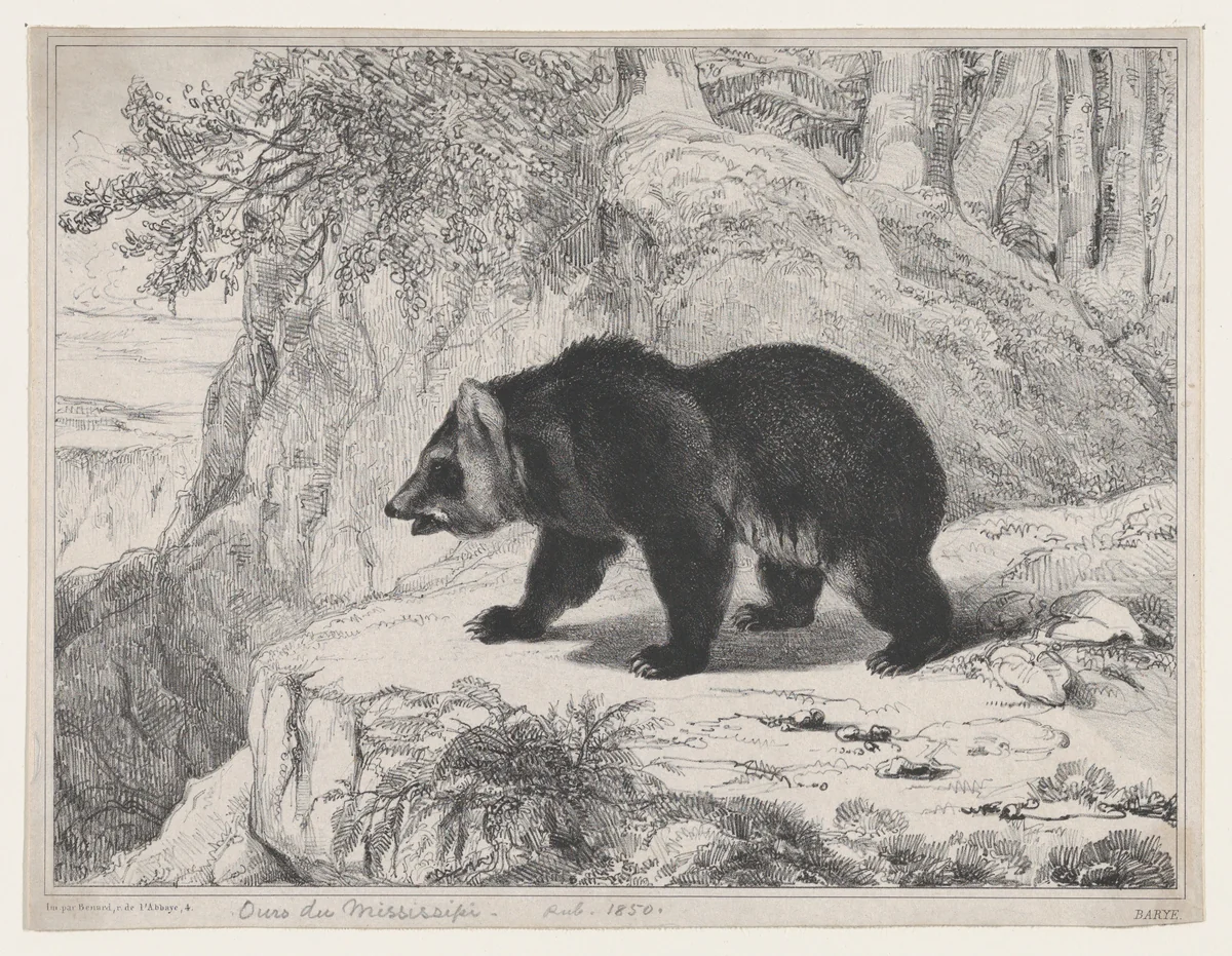 Mississippi Bear by Antoine-Louis Barye, print, 1836