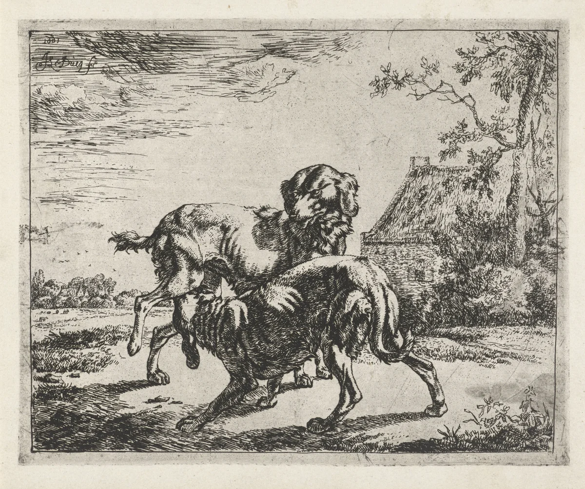 Reu en teef by anonymous, print, 1661-1711