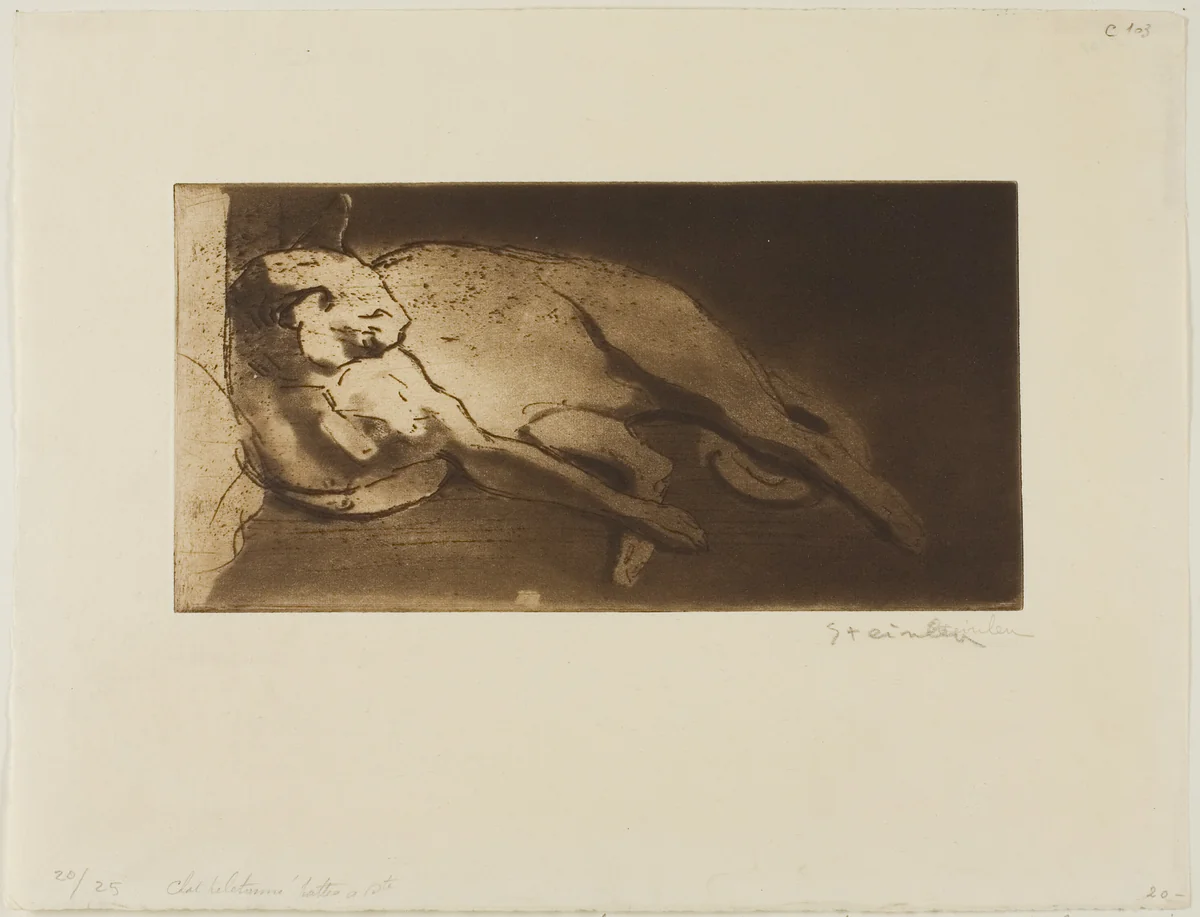 Reclining Cat Stretched Out from Left to Right by Théophile Alexandre Steinlen, print, 1903