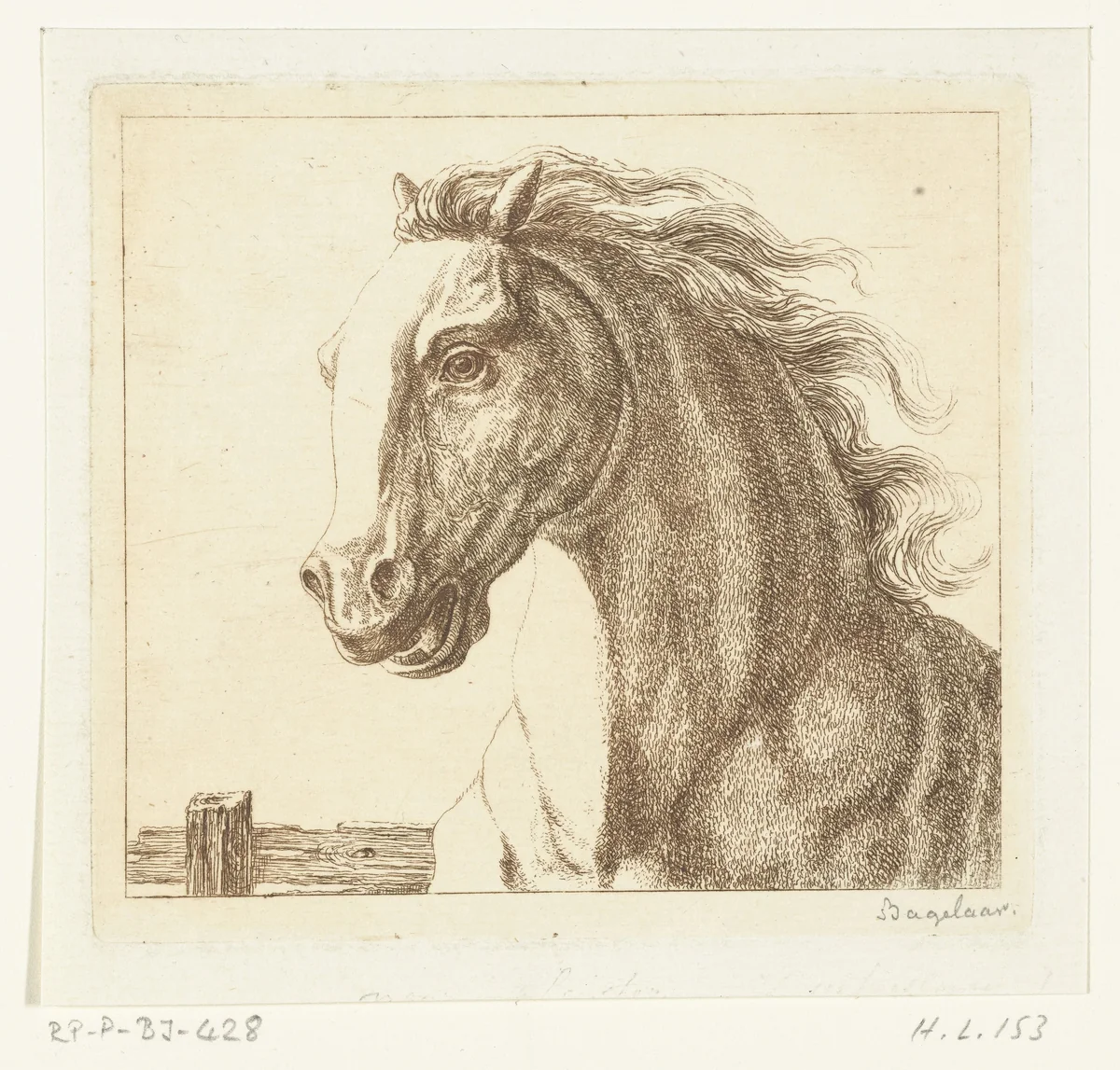 Paardenhoofd by Ernst Willem Jan Bagelaar, print, 1798-1837