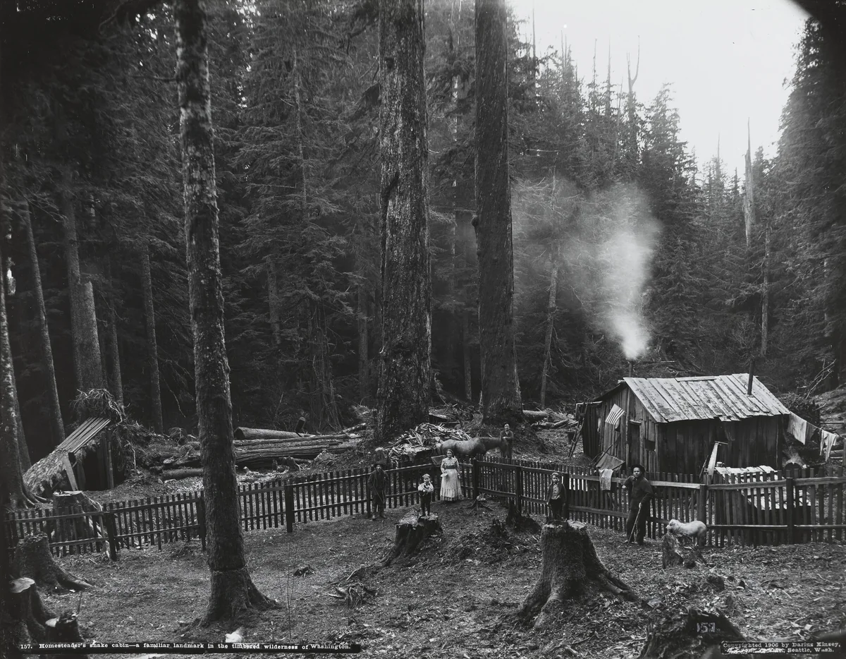 Homesteader's Shake Cabin by Darius Kinsey, photograph, 1906