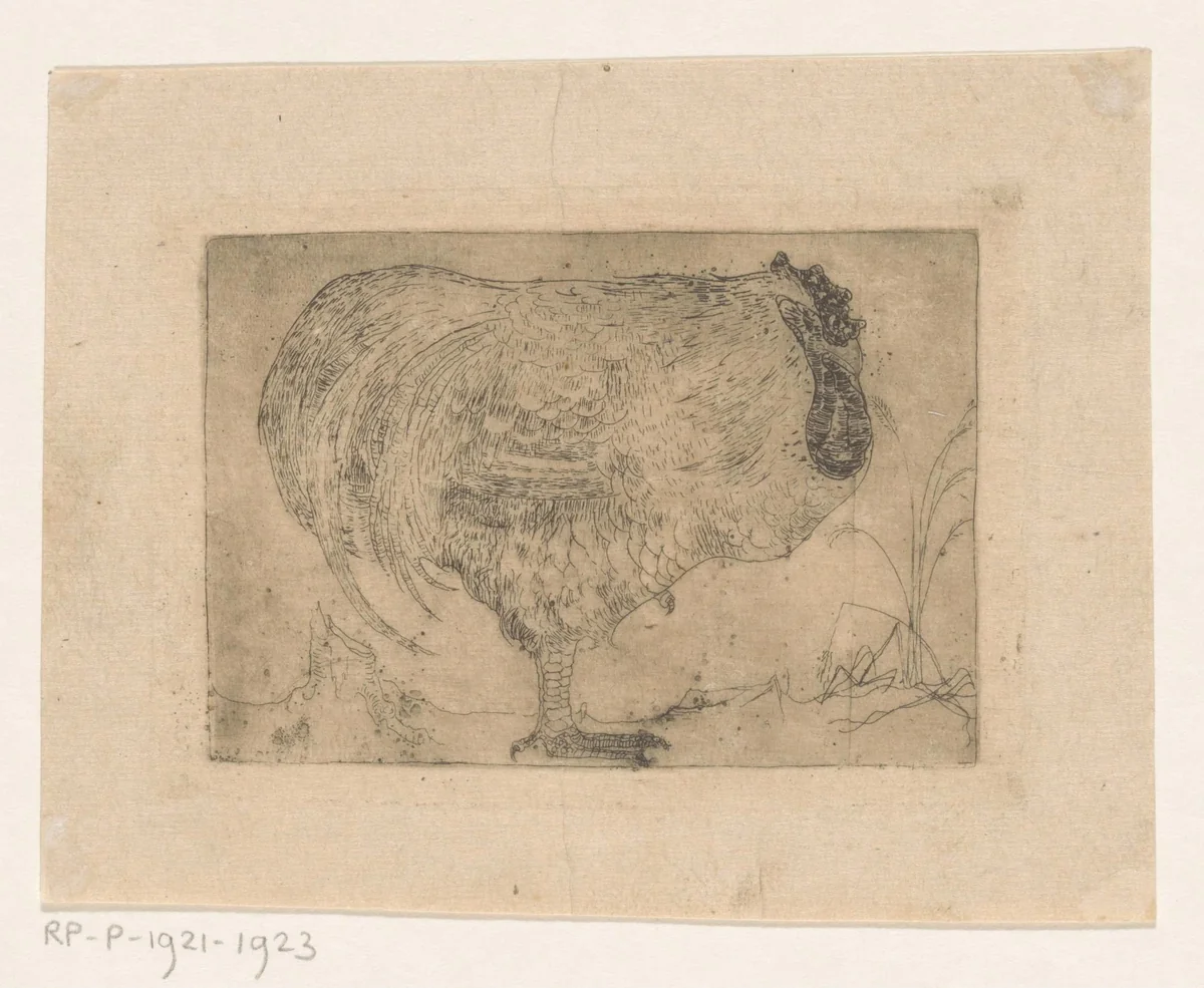 Ineengedoken haan by Jan Mankes, print, 1912