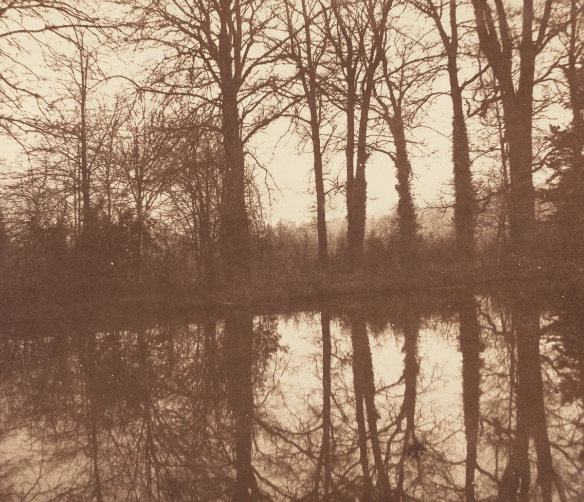 Winter Trees, Reflected in a Pond by William Henry Fox Talbot, photograph, 1841-1842