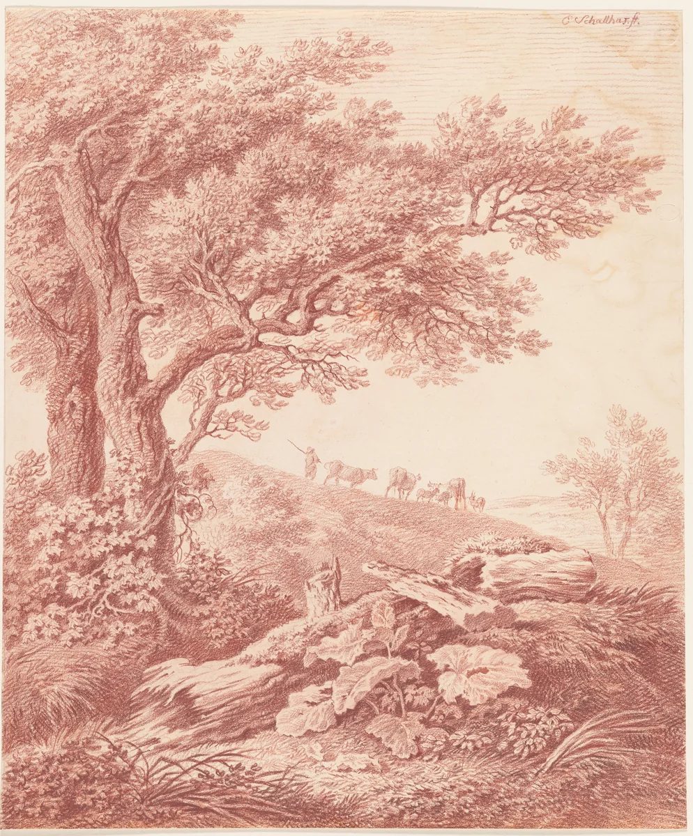 Ancient Trees in a Pastoral Landscape by Carl Philipp Schallhas, drawing, 1790-1795