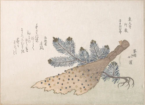 Young Pine Tree and Jeweled Broom by Totoya Hokkei (魚屋北渓), print, 1780-1850