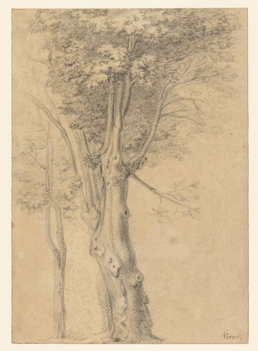 Boomstudies by Claude Joseph Vernet, drawing, 1724-1789