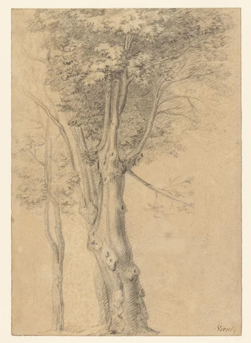 Boomstudies by Claude Joseph Vernet, drawing, 1724-1789