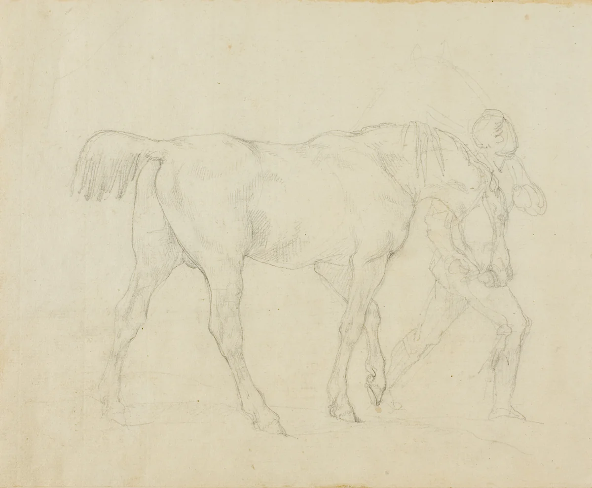 Groom Leading a Horse by Jean Louis André Théodore Géricault, drawing, 1819