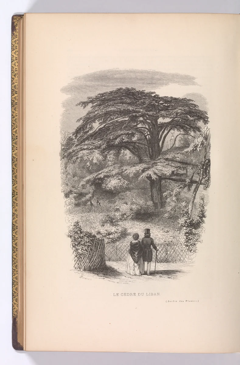 Le Jardin des Plantes, Descriptions et Moeurs des Mammiferes by François Boitard, book, 1842