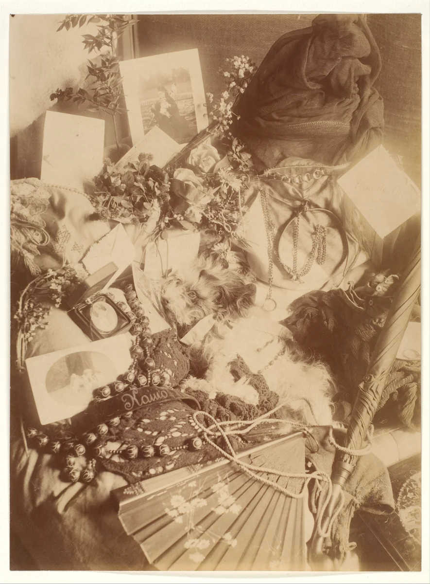 Les Chiens by Pierre-Louis Pierson, photograph, 1875-1880