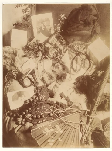 Les Chiens by Pierre-Louis Pierson, photograph, 1875-1880