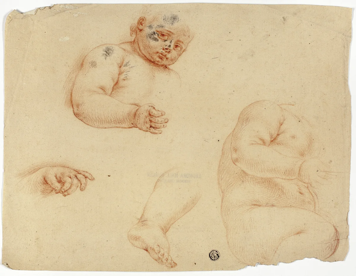 Sketches of a Child: Half-Length, Torso, Foot, Hand by Unknown Artist, drawing, 1700-1799