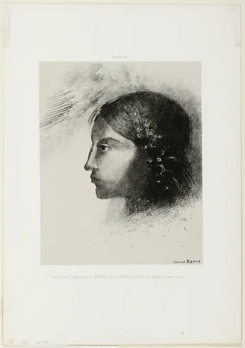 Upon Awakening I Saw the Goddess of the Intelligible With Her Severe and Hard Profile, plate 6 of 6 by Odilon Redon, print, 1885