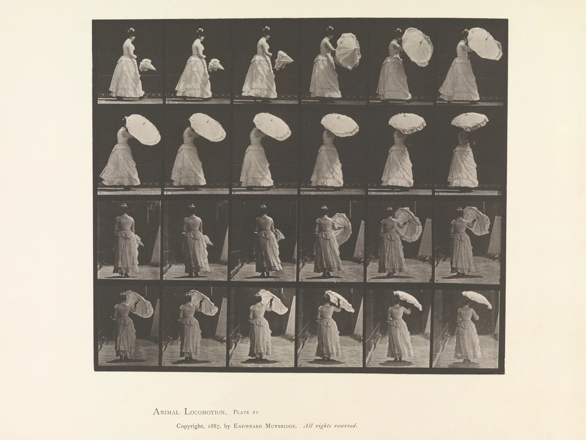 [Woman Opening Parasol] by Eadweard Muybridge, photograph, 1883-1886