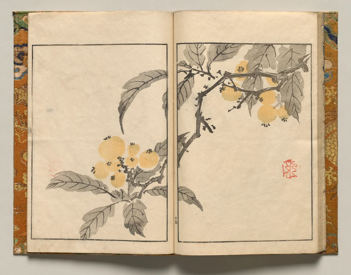 Kumquat, Design Fifteen from Shazanrō Picture Book by Tani Bunchō (谷文晁), book, 1816