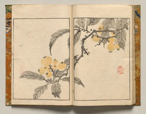 Kumquat, Design Fifteen from Shazanrō Picture Book by Tani Bunchō (谷文晁), book, 1816
