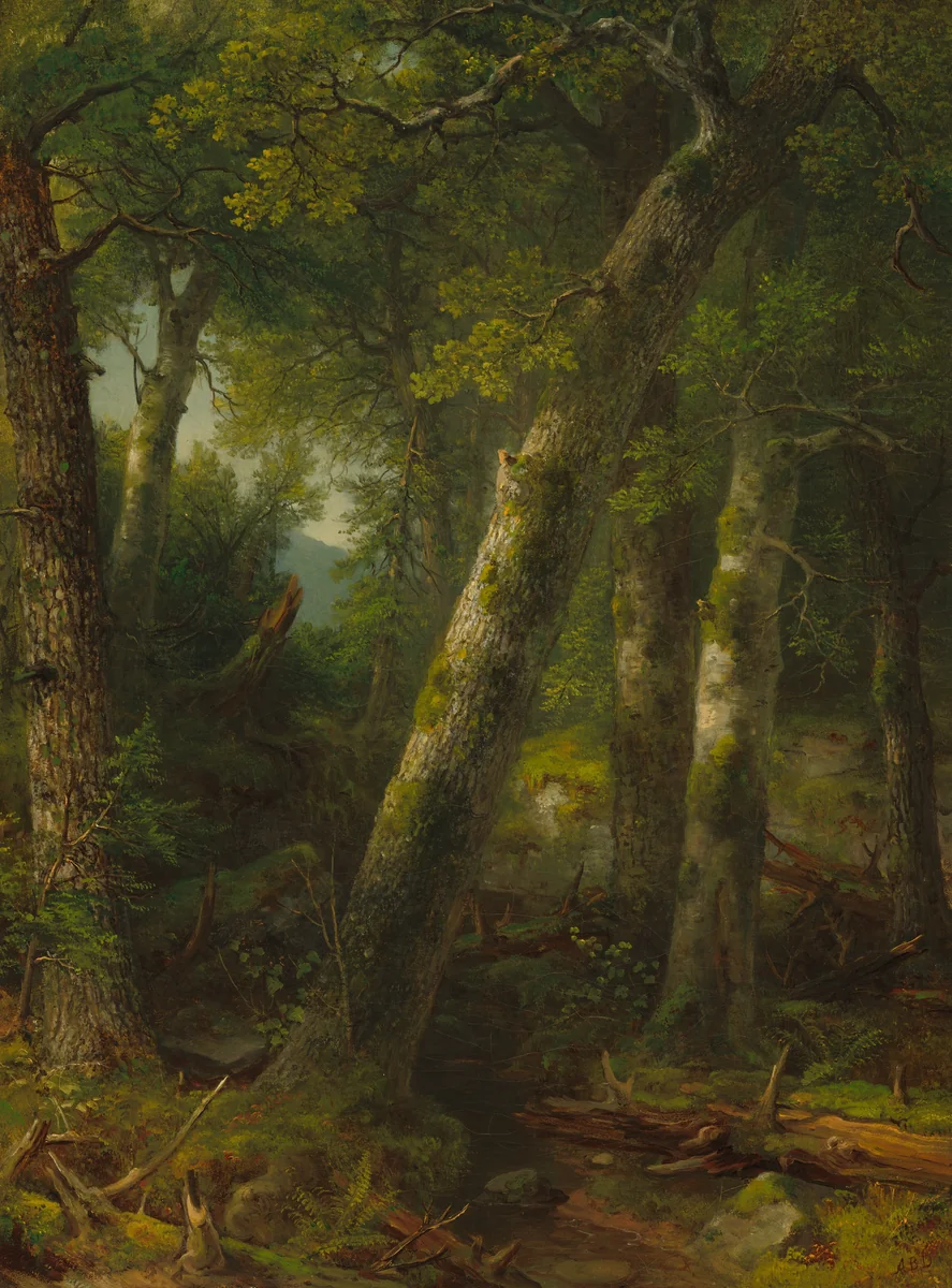 Forest in the Morning Light by Asher Brown Durand, painting, 1855