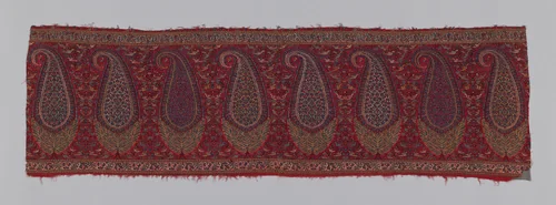 Shawl Border (Pallu) by India Kashmir, textile, 1810-1830
