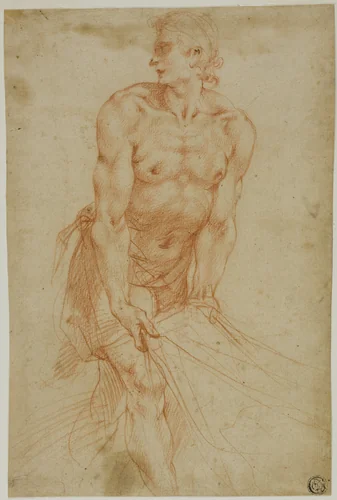 Man Tugging on Sheet: Study for the Entombment [Sacristy of the Certosa di San Martino, Naples, 1596] by Giuseppe Cesari, drawing, 1595-1596