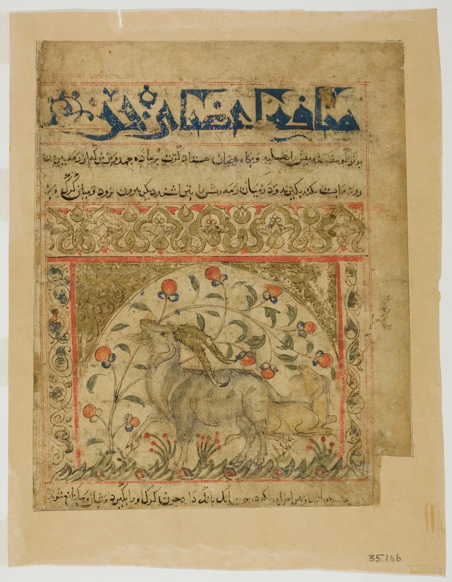 Two Goats from Manafi' al-Hayawan (On the Usefulness of Animals) of Ibn Bakhtishu' by Iran, painting, 1200-1300