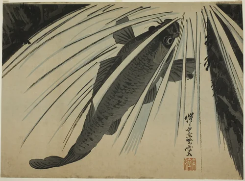 Carp Ascending Falls by Kawanabe Kyosai, print, 1867-1900