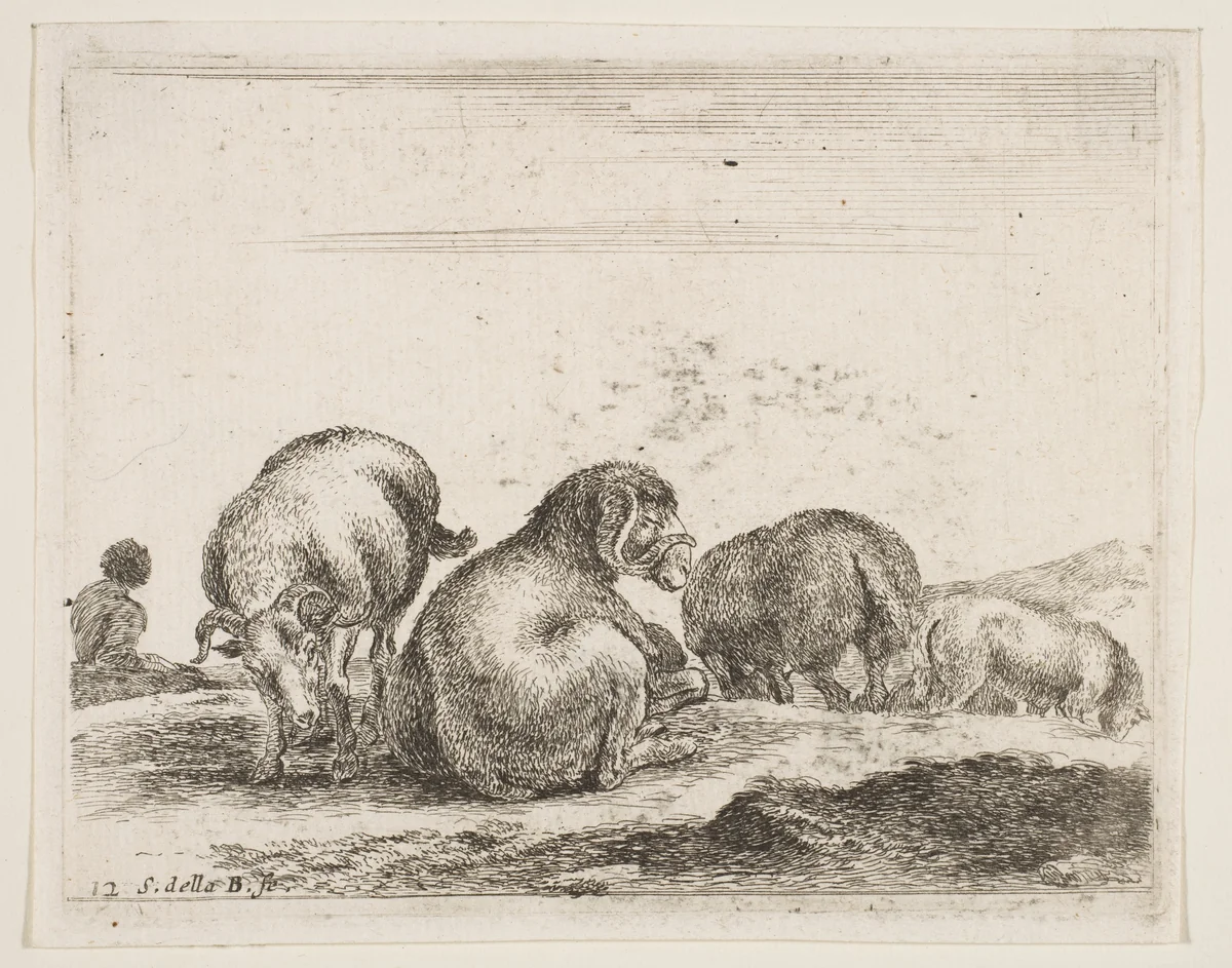 Sheep and ram in a pasture, plate 12 from "Various Animals" (Diversi Animali) by Stefano della Bella, print, 1636-1646