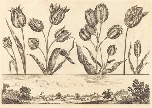Flower Print no.12 by Nicolas Cochin, print, 1645