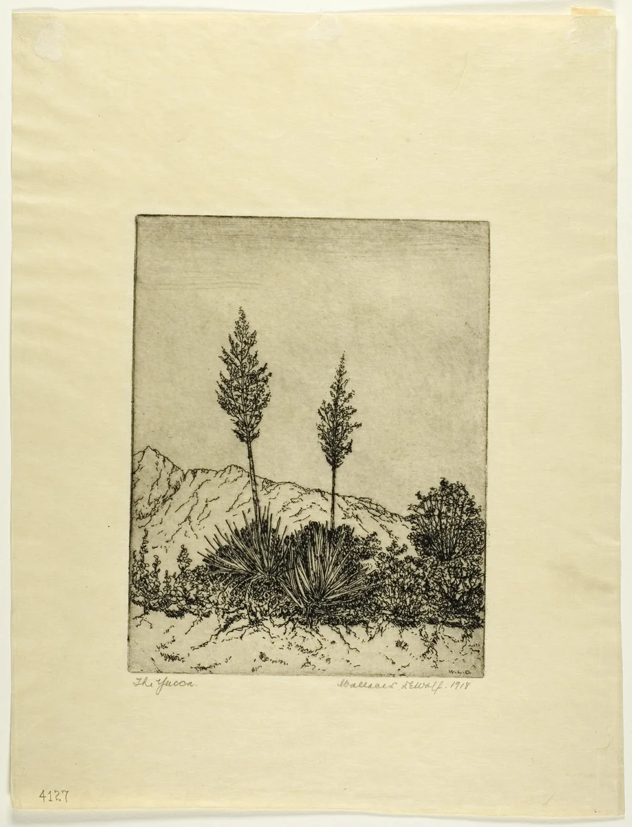 The Yucca by Wallace DeWolf, print, 1918