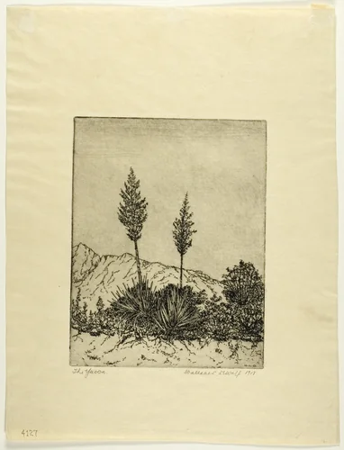 The Yucca by Wallace DeWolf, print, 1918