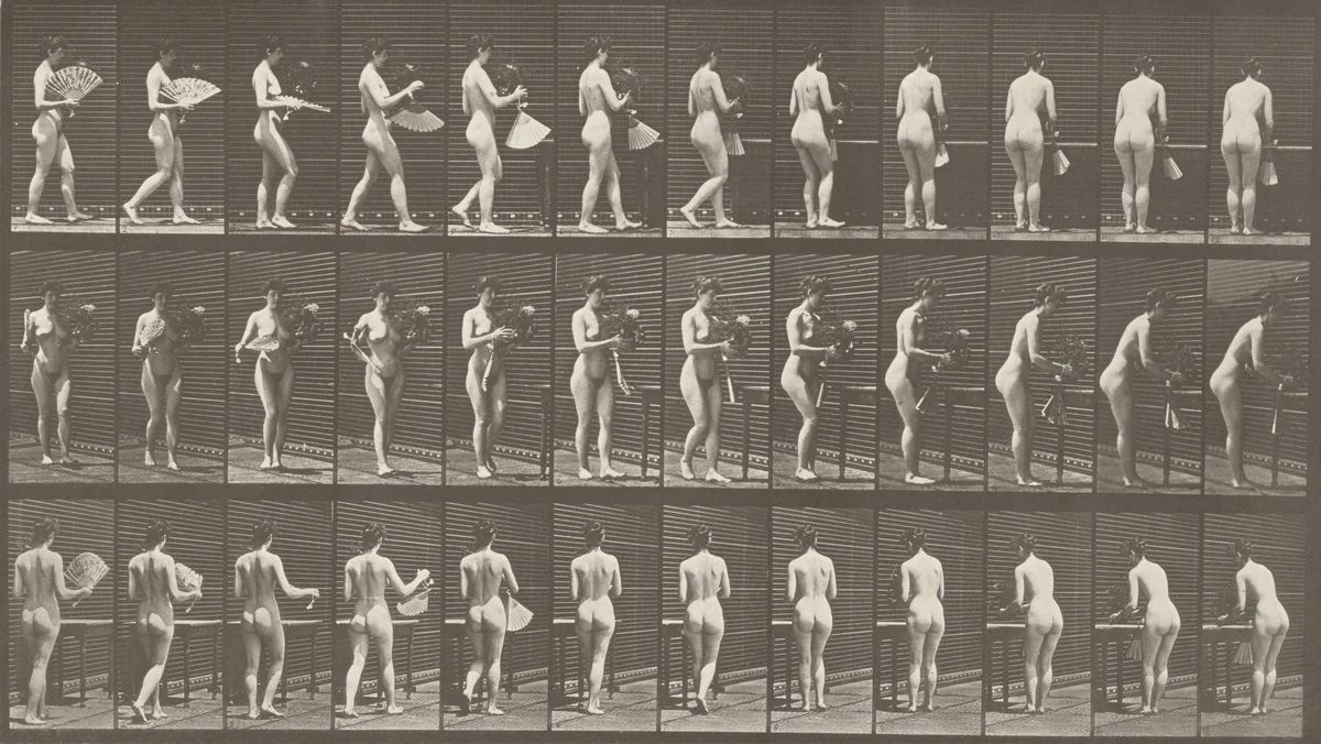 Plate Number 441. Carrying a vase and placing it on a table by Eadweard Muybridge, photograph, 1887
