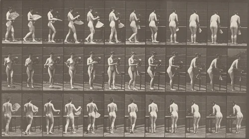 Plate Number 441. Carrying a vase and placing it on a table by Eadweard Muybridge, photograph, 1887