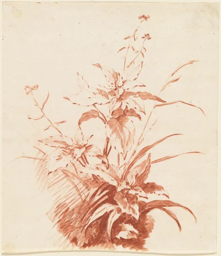 Flowering Plant with Grass by Jean-Baptiste Hüet, drawing, 1762-1767