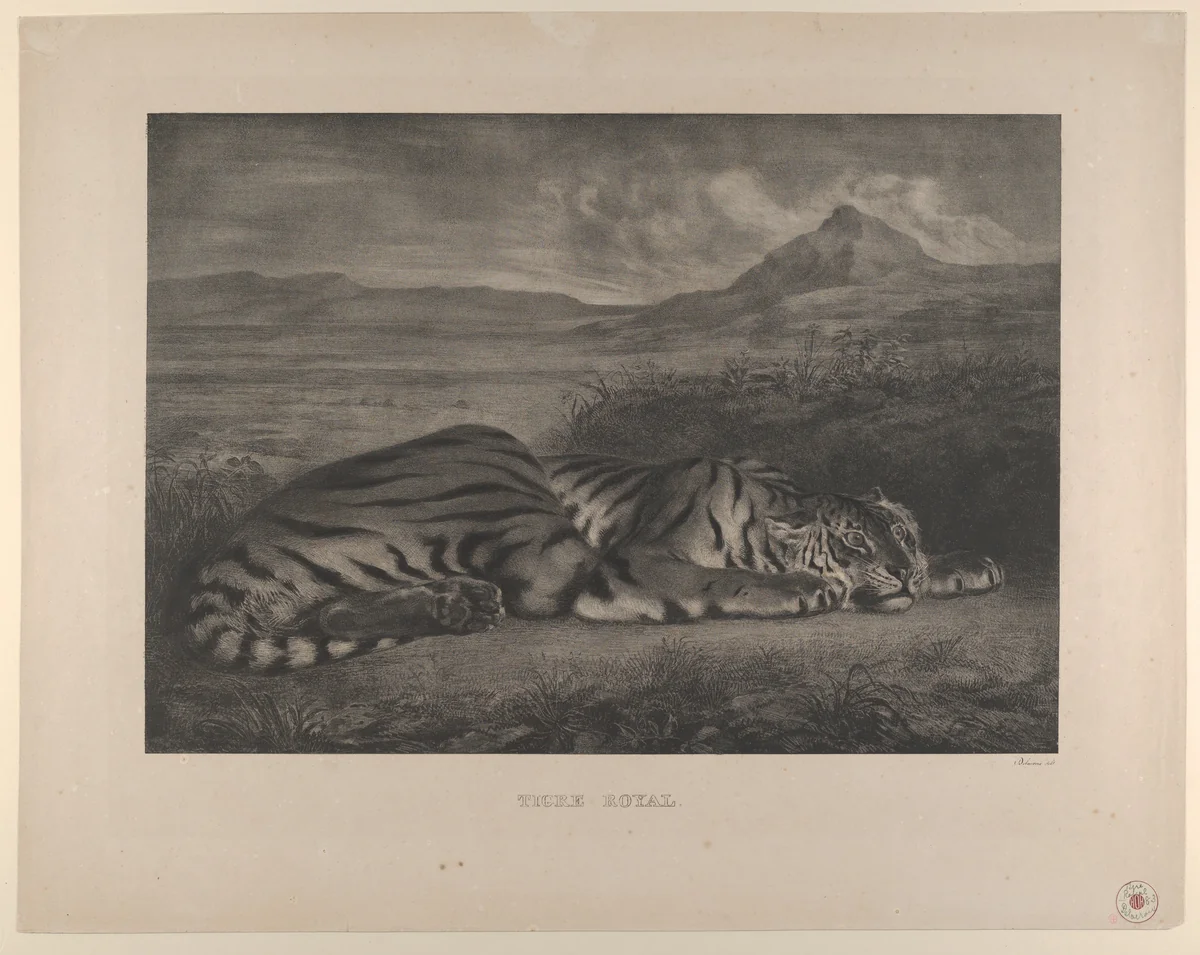 Royal Tiger by Eugène Delacroix, print, 1829-1830