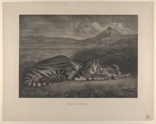 Royal Tiger by Eugène Delacroix, print, 1829-1830