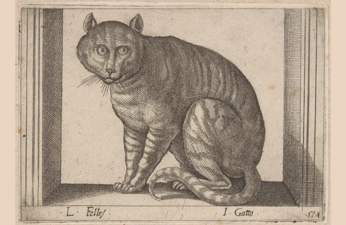 Kat by Antonio Tempesta, print, 1565-1630