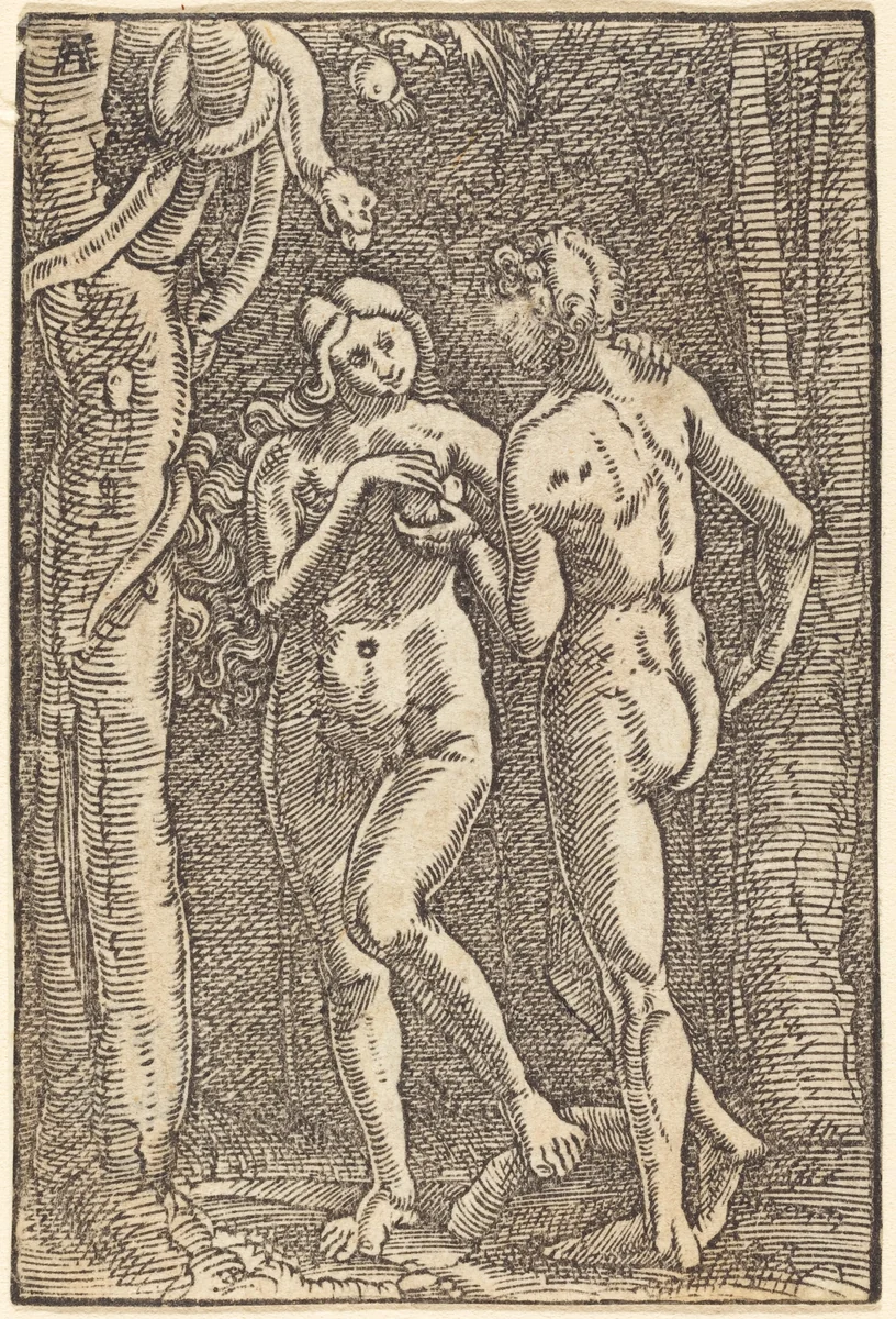 The Fall of Man by Albrecht Altdorfer, print, 1513