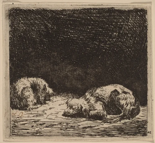Dog and Cat by Karel Dujardin, print, 1622-1678