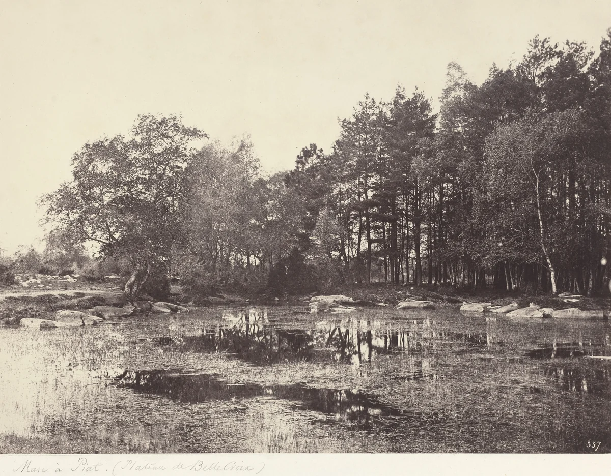 Marsh at Piat (Belle-Croix Plateau) by Eugène Cuvelier, photograph, 1860-1865