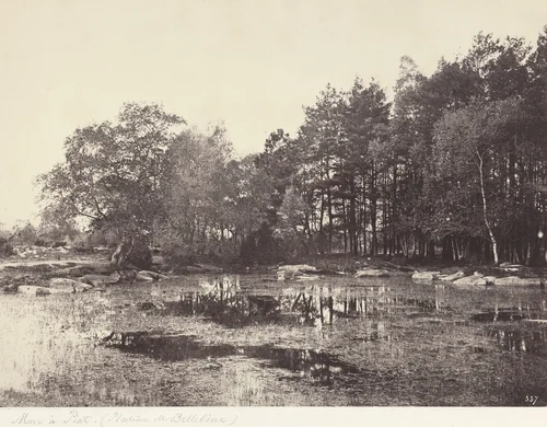 Marsh at Piat (Belle-Croix Plateau) by Eugène Cuvelier, photograph, 1860-1865