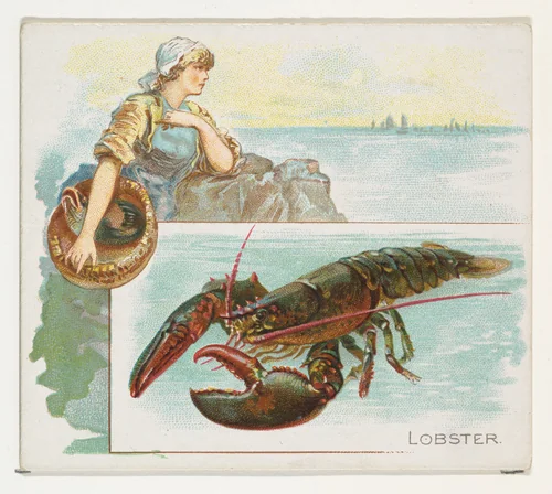Lobster, from Fish from American Waters series (N39) for Allen & Ginter Cigarettes by Allen & Ginter, print, 1889