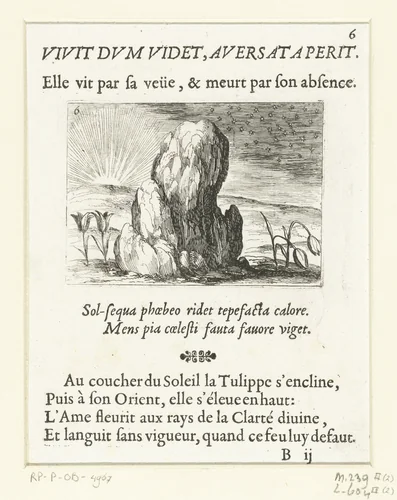 Tulpen en de zon by Jacques Callot, print, 1621-1635