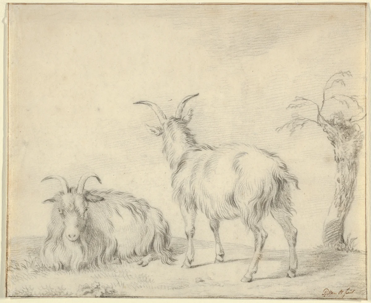 A Standing and a Lying Goat Near a Small Tree by Pieter Gerardus van Os, drawing, 1796-1836