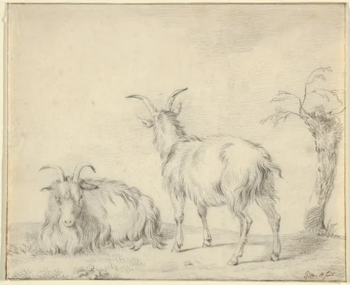 A Standing and a Lying Goat Near a Small Tree by Pieter Gerardus van Os, drawing, 1796-1836