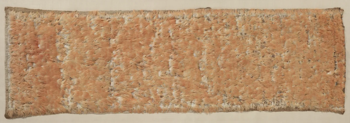 Feathered Panel by Unknown, textile, 600-1500