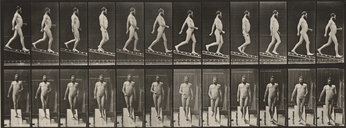 Plate Number 113. Descending an incline by Eadweard Muybridge, photograph, 1887