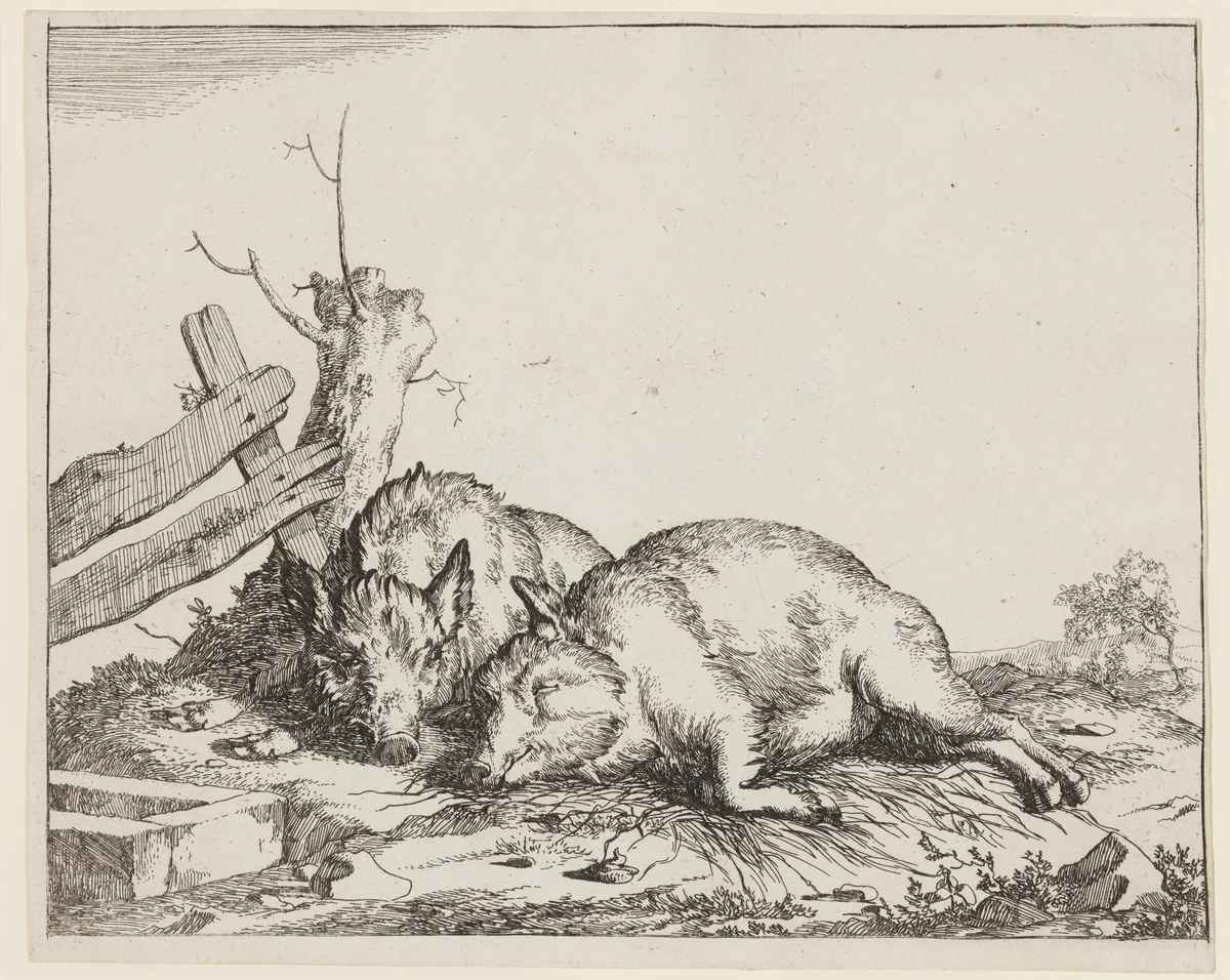 Two Sleeping Pigs, from "Various Animals" by Marcus de Bye, print, 1654-1664